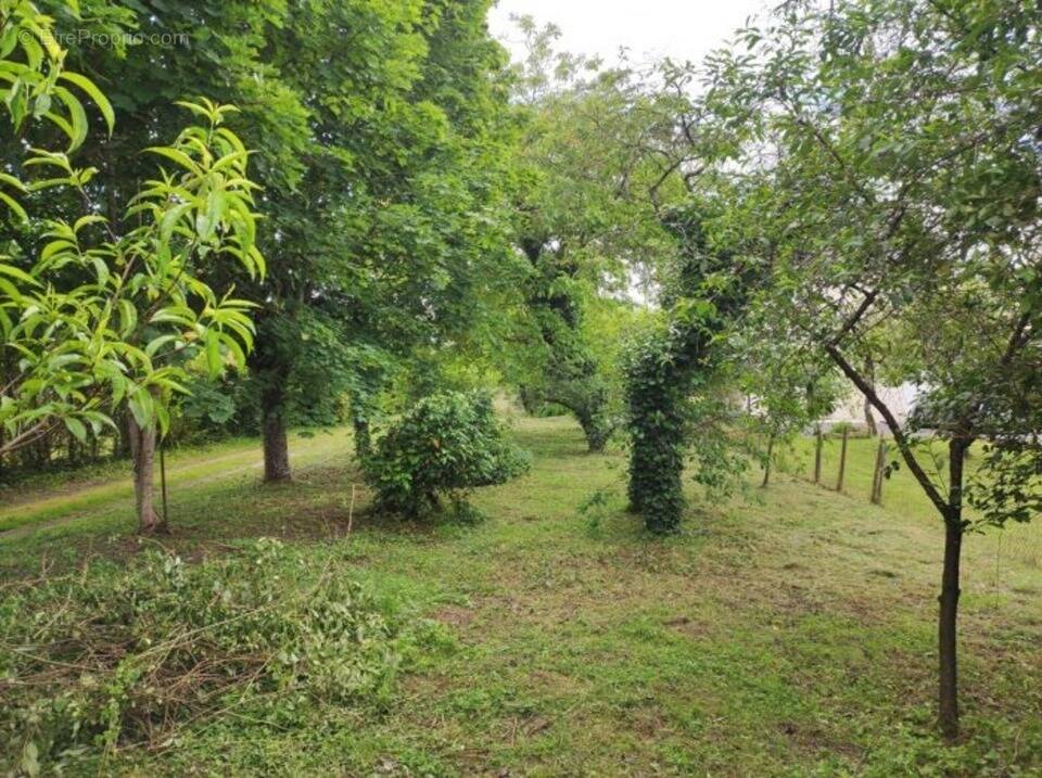 Terrain à SORIGNY