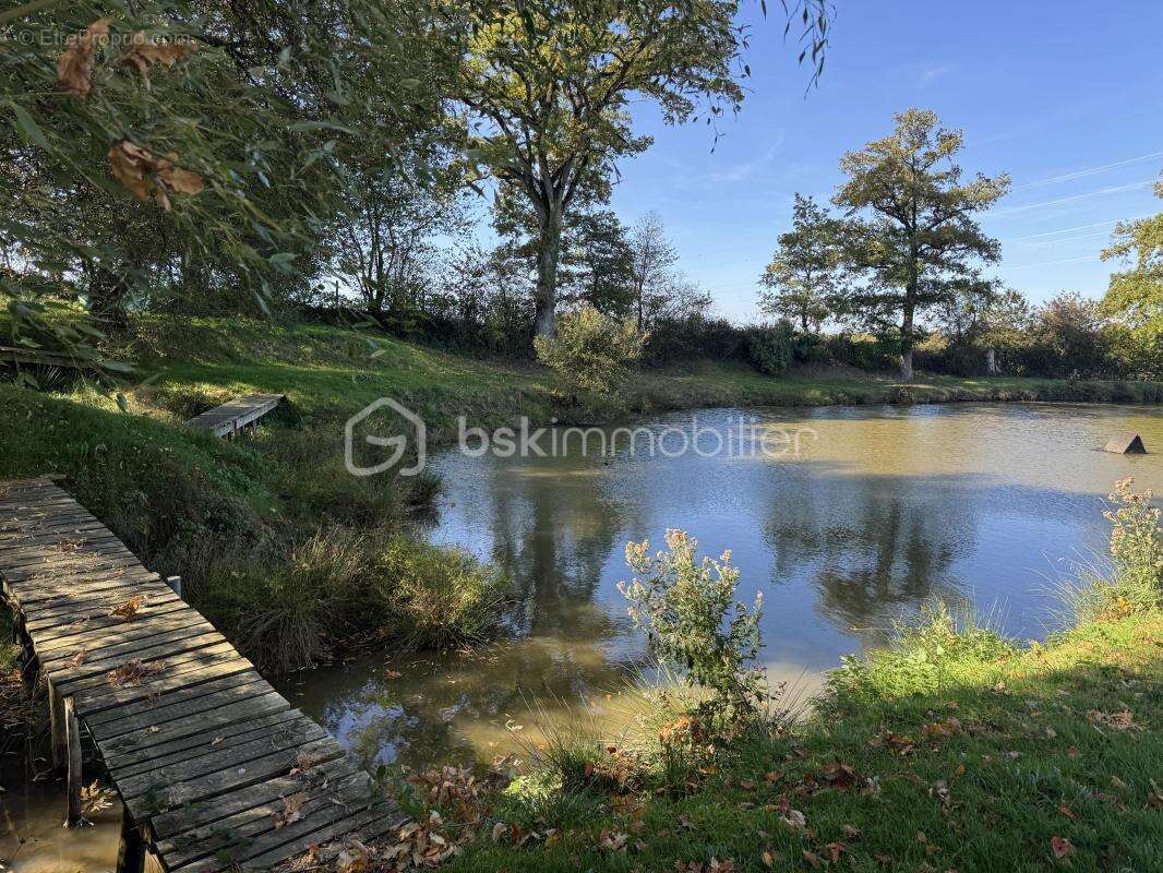 Terrain à SAINT-PIERRE-LA-COUR