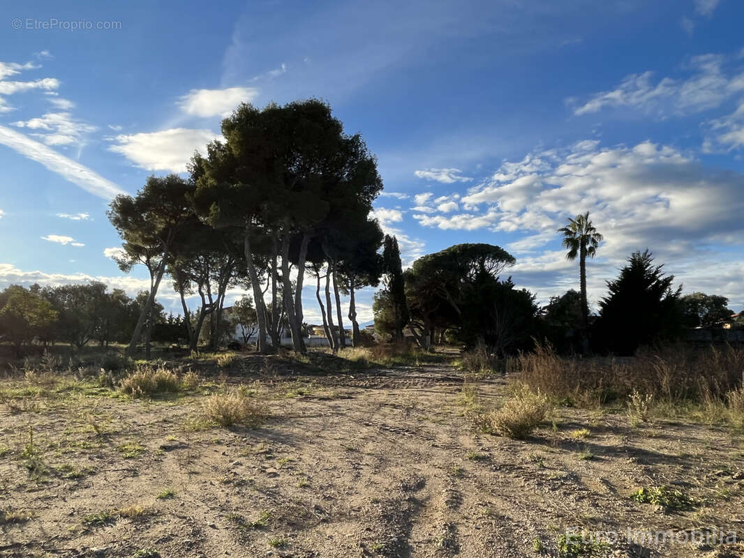 Terrain à PERPIGNAN