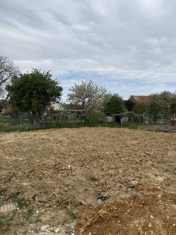 Terrain à LA NORVILLE