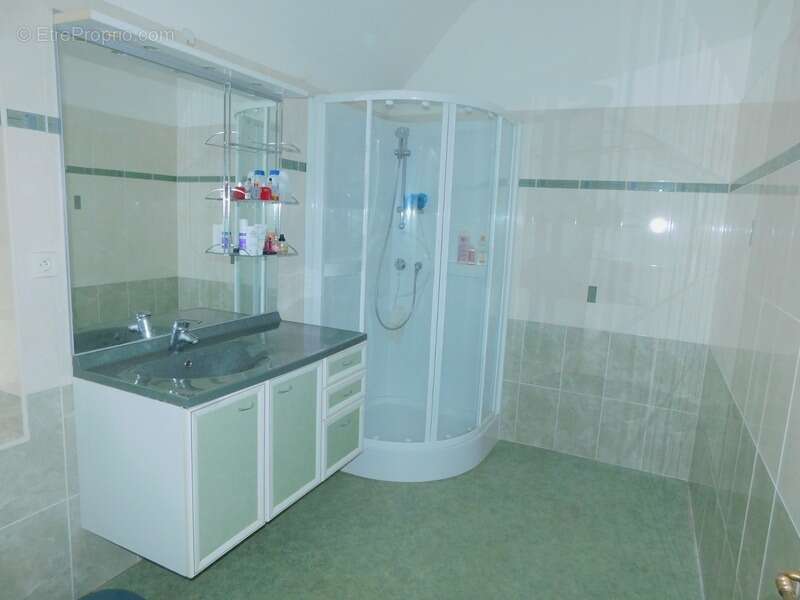 Maison à LA CHAPELLE-JANSON