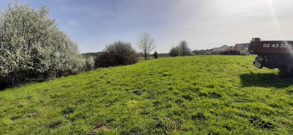 Terrain à SAINT-SATURNIN