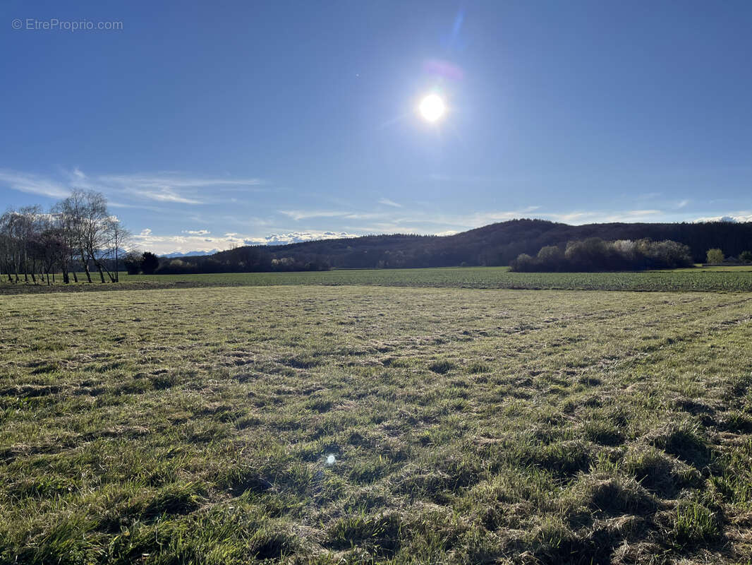 Terrain à OURSBELILLE