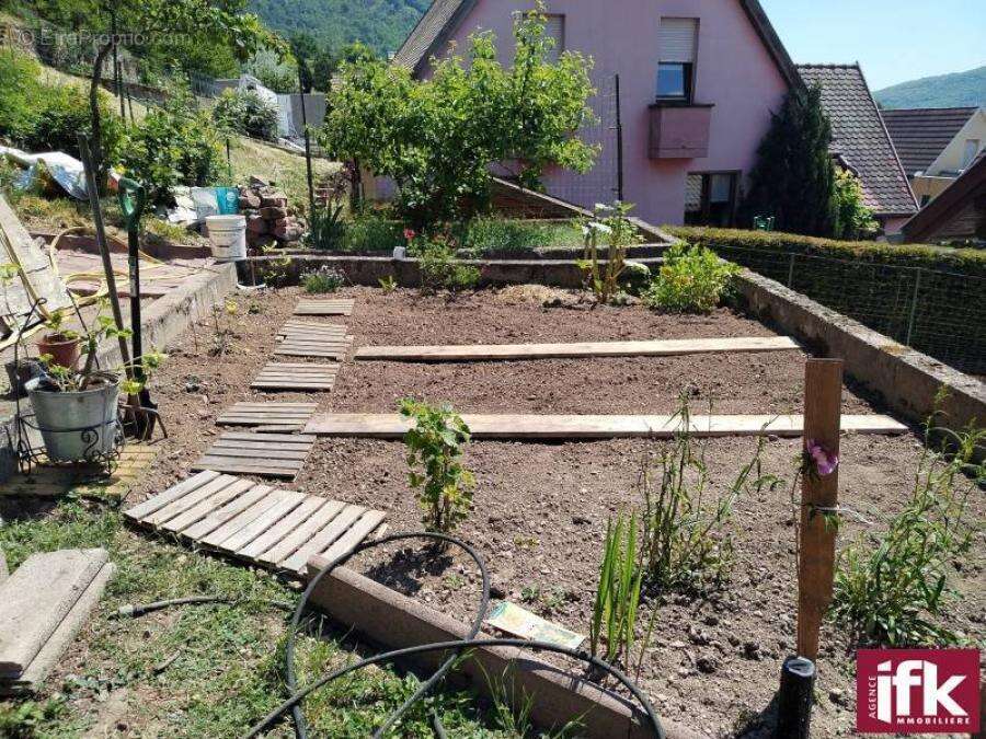 Maison à KAYSERSBERG