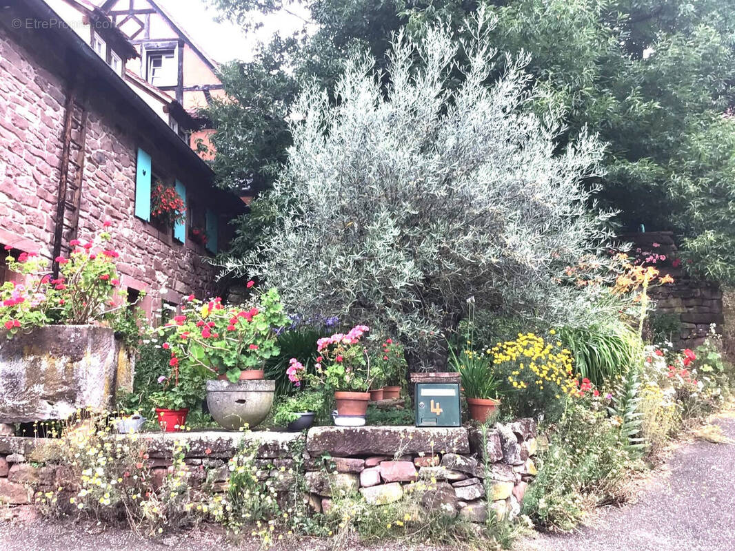 Maison à DIMBSTHAL