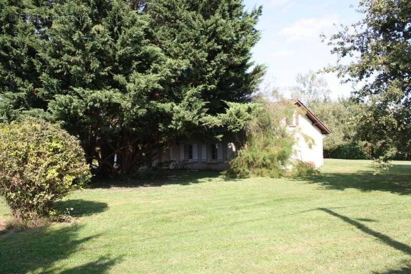 Maison à CUISERY