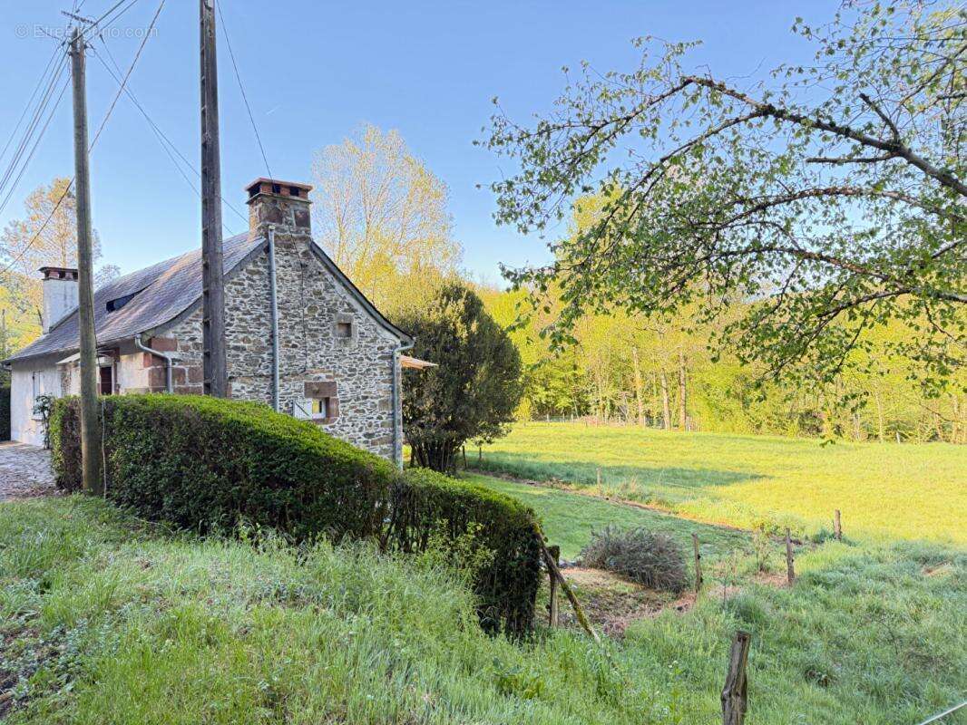 maison en campagne à 15 minutes de Brive - photo 2