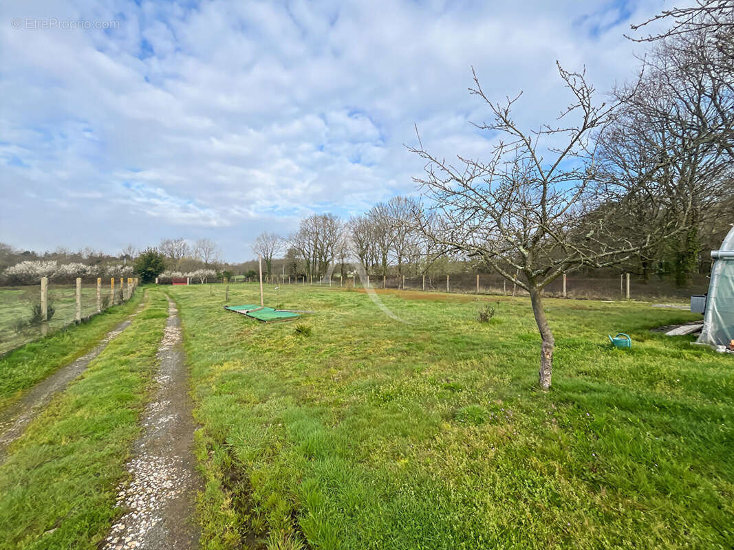 Terrain à SALLERTAINE