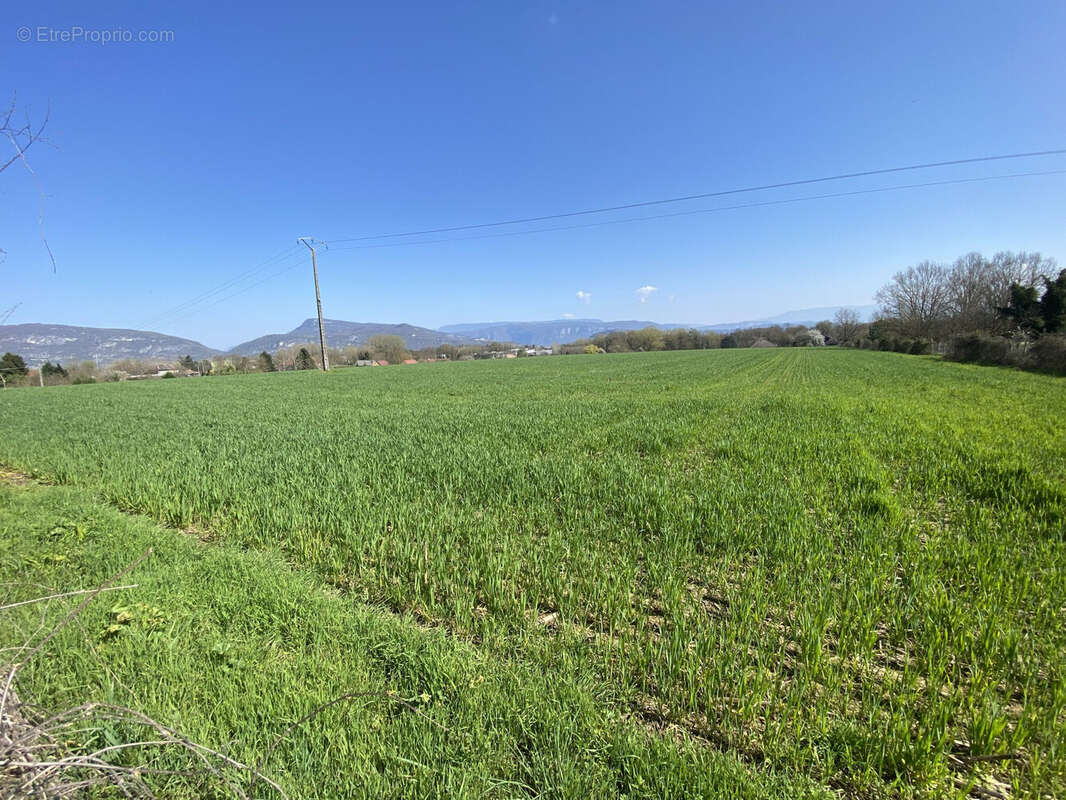 Maison à VEYRINS-THUELLIN