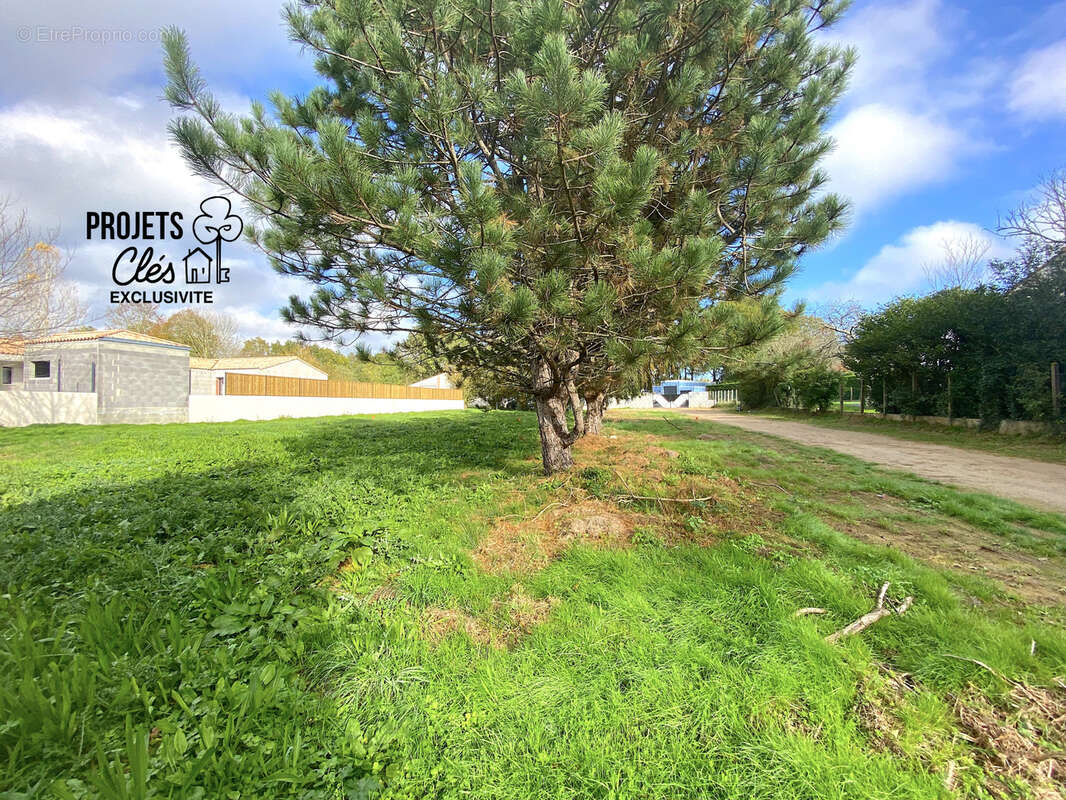 Terrain constructible de 348m2 centre-ville - photo 6
