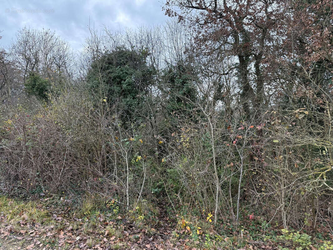 Terrain à GUILLERVAL