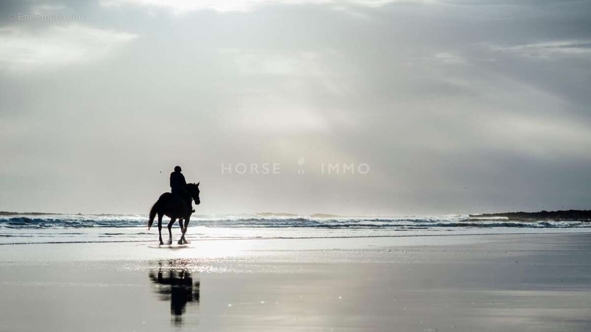 Appartement à MARSEILLE-1E