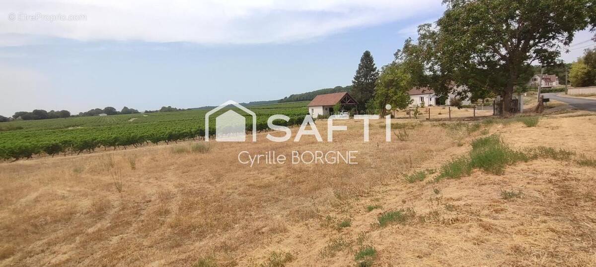 Photo 1 - Terrain à SAINT-MICHEL-SUR-LOIRE