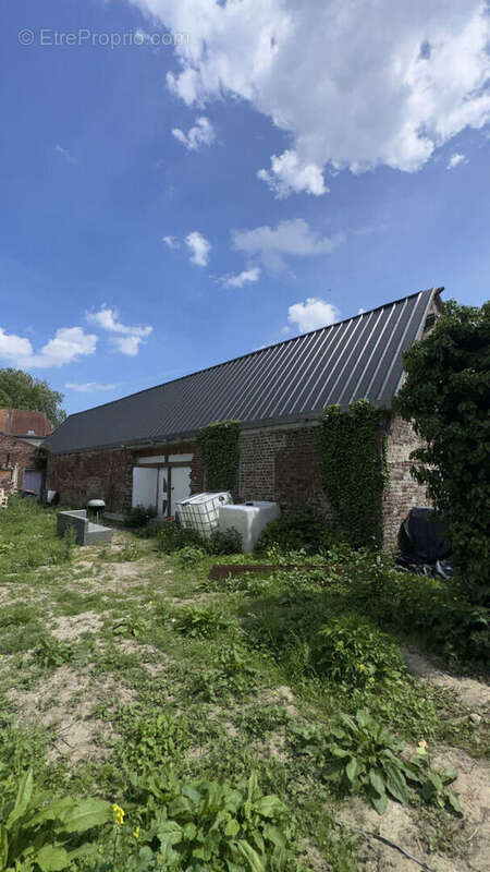 Hangar ( 280 m² ) + Terrain non viabilisé ( 500 m² ) - photo 3