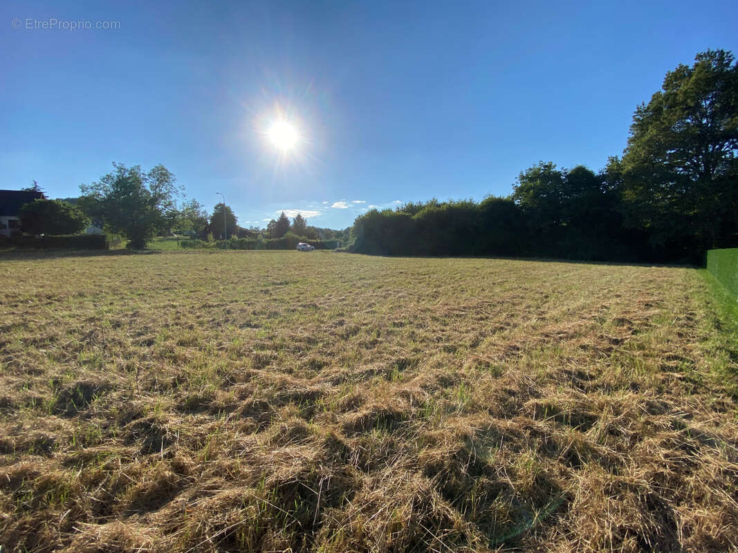 Terrain à MONEIN