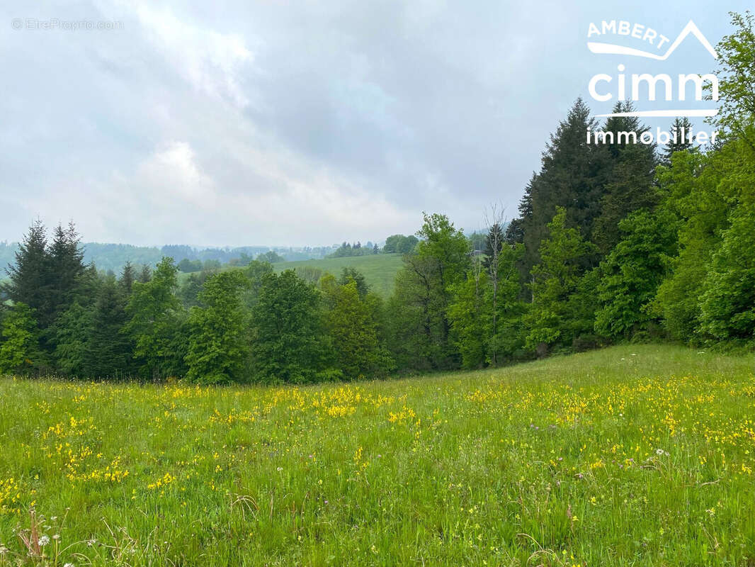 Terrain à VERTOLAYE