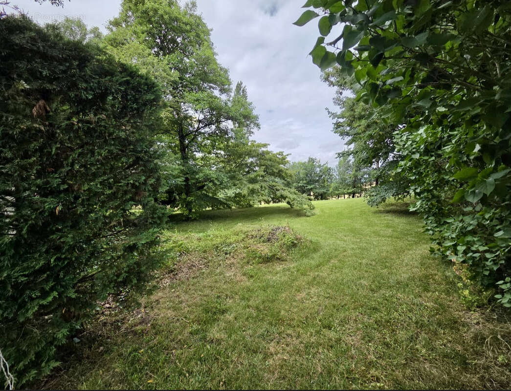 Authentique longère en pierre de 123 m2 avec parc arboré et studio indépendant - photo 26