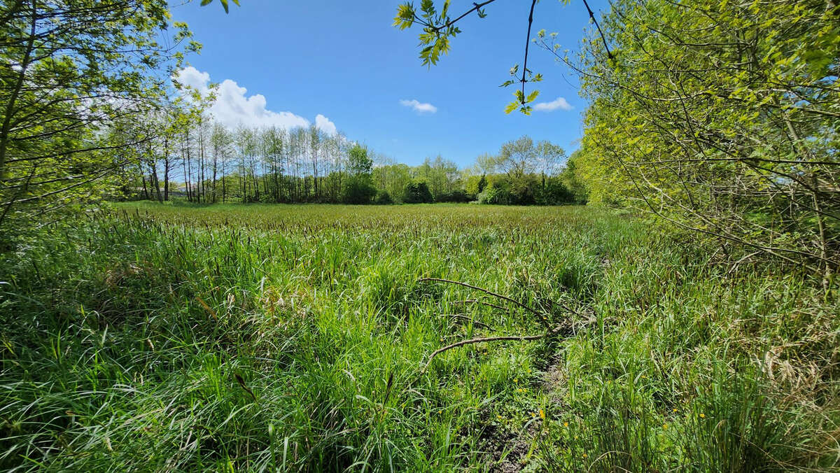 sans doute une des plus belle ferme de la commune sur près de 10 hectares d'un seul tenant - photo 23
