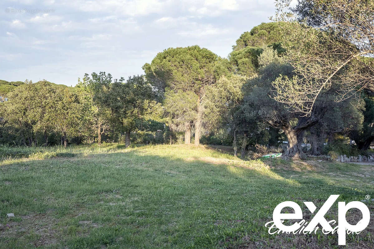 Terrain à SAINTE-MAXIME