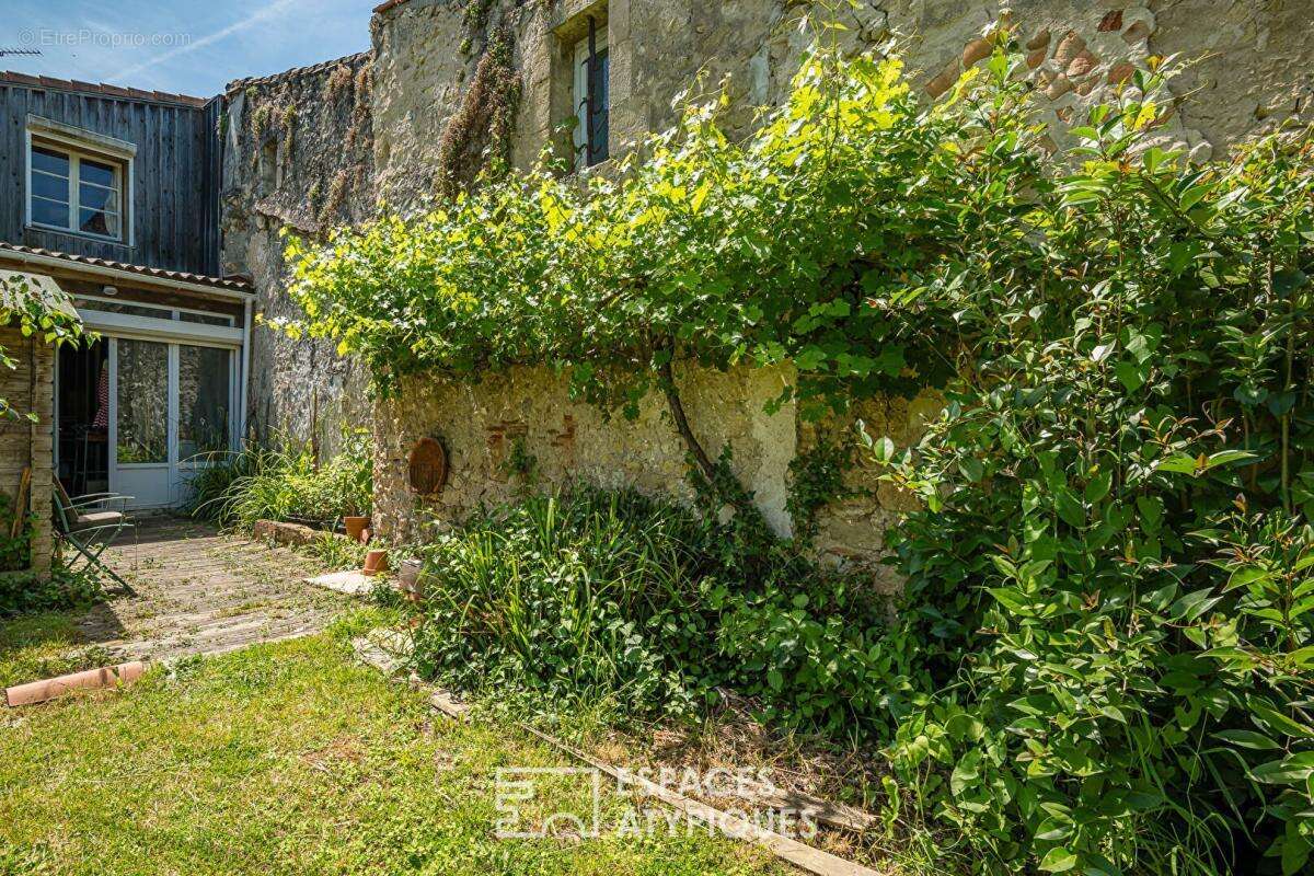 Ancienne épicerie transformée avec vue Garonne et jardin - photo 11