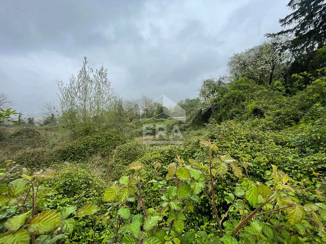 Terrain à BIDACHE