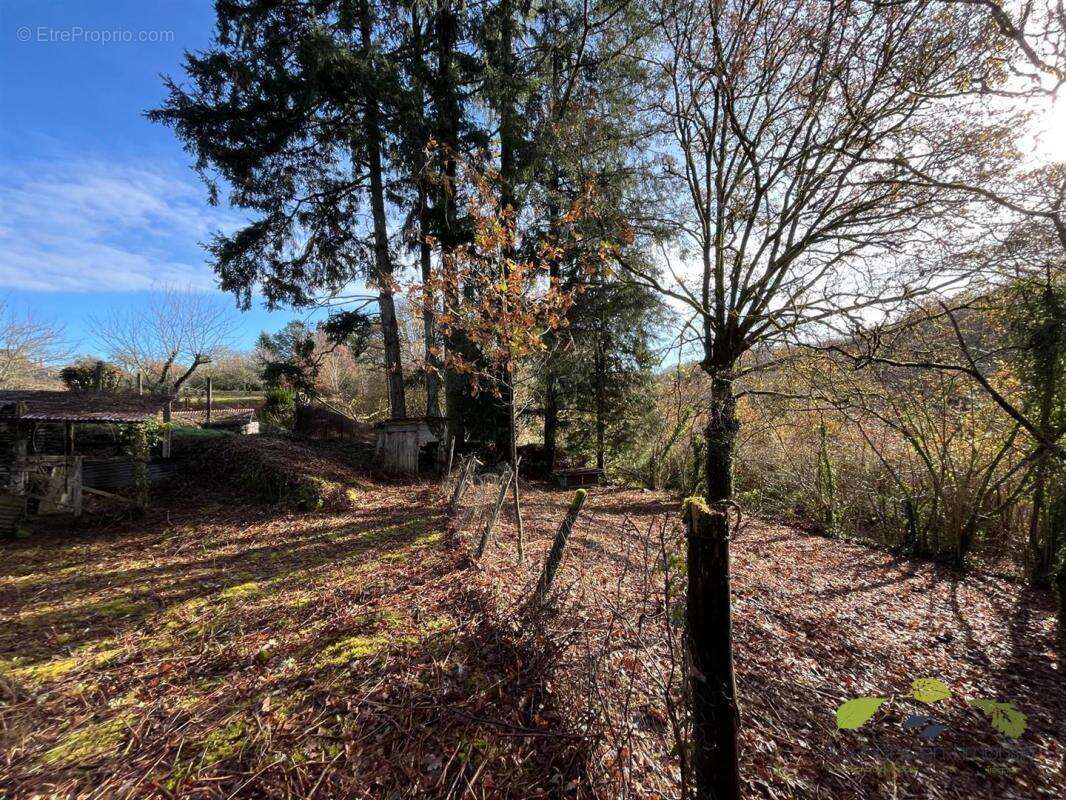 Maison à SAUVIAT-SUR-VIGE