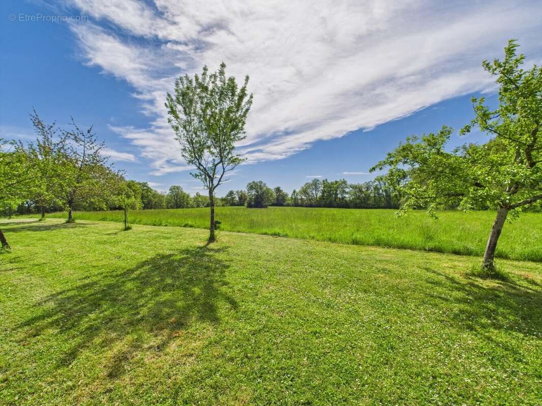 Maison à MONFLANQUIN