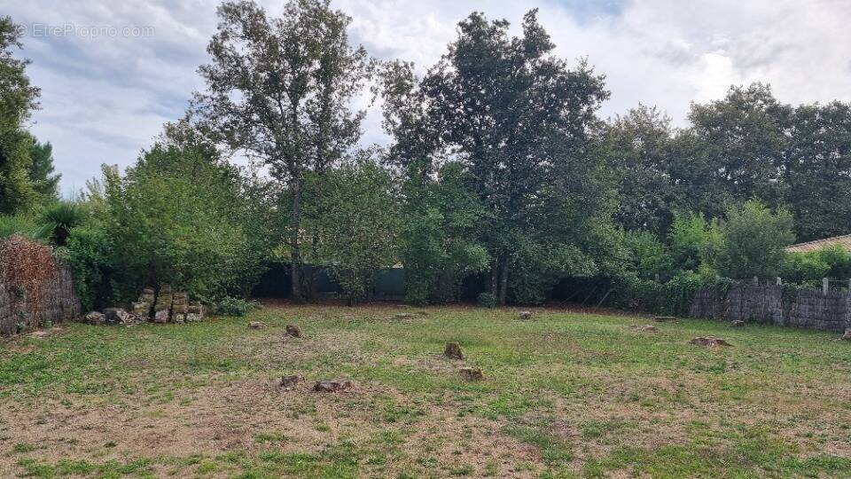 Terrain à MARTIGNAS-SUR-JALLE