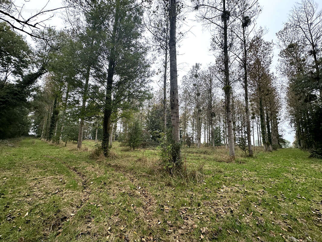 Terrain à LE FAVRIL