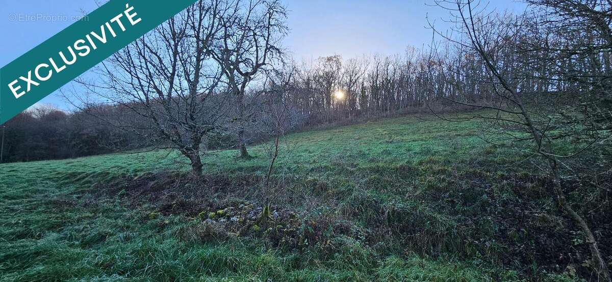 Photo 3 - Terrain à PUYCELCI