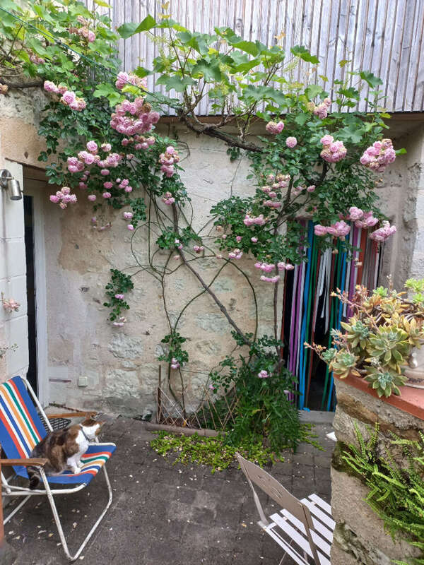 Maison à ROCHECORBON