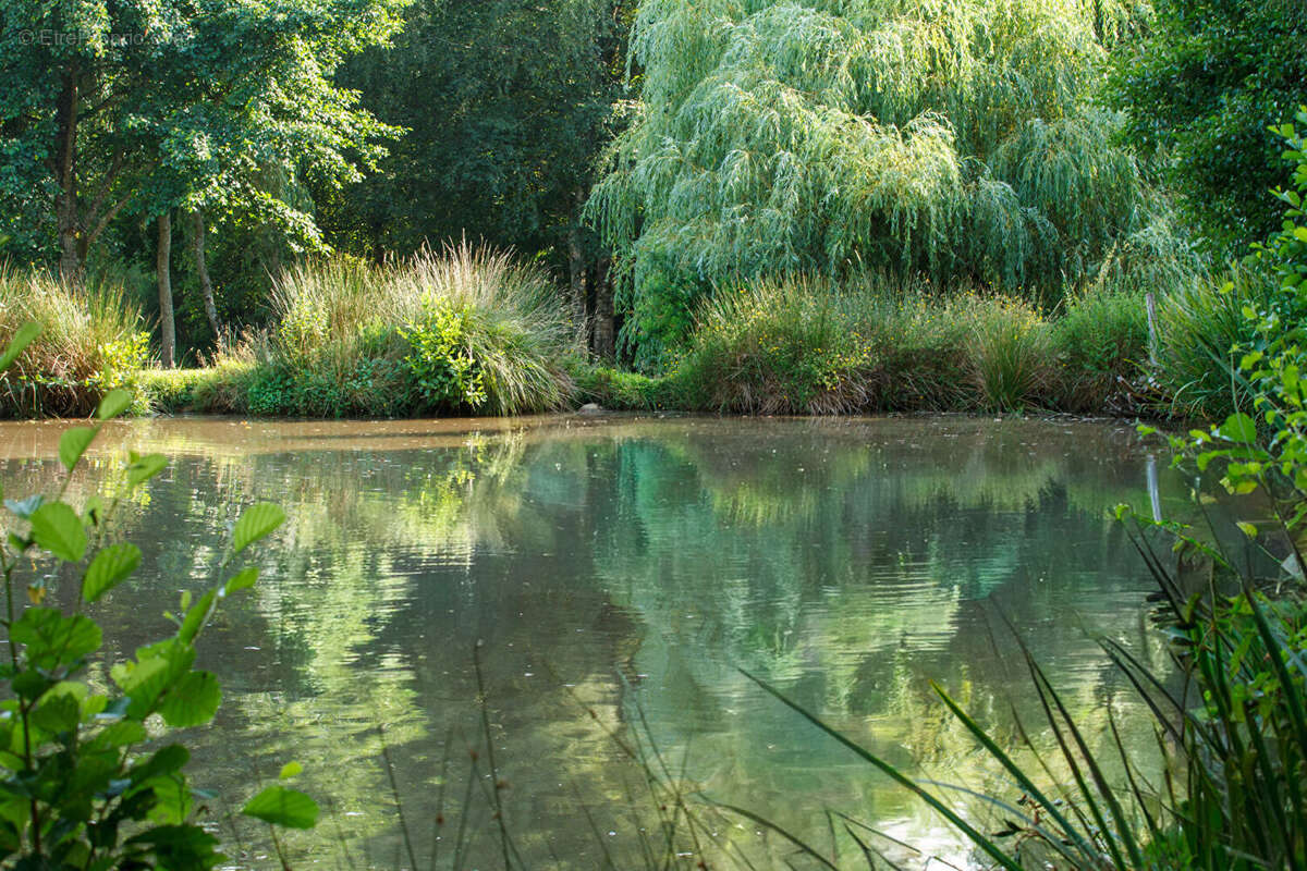 MANCHE : Maison de 3 chambres, gîte, lac et terrain dans un magnifique cadre champêtre. - photo 17
