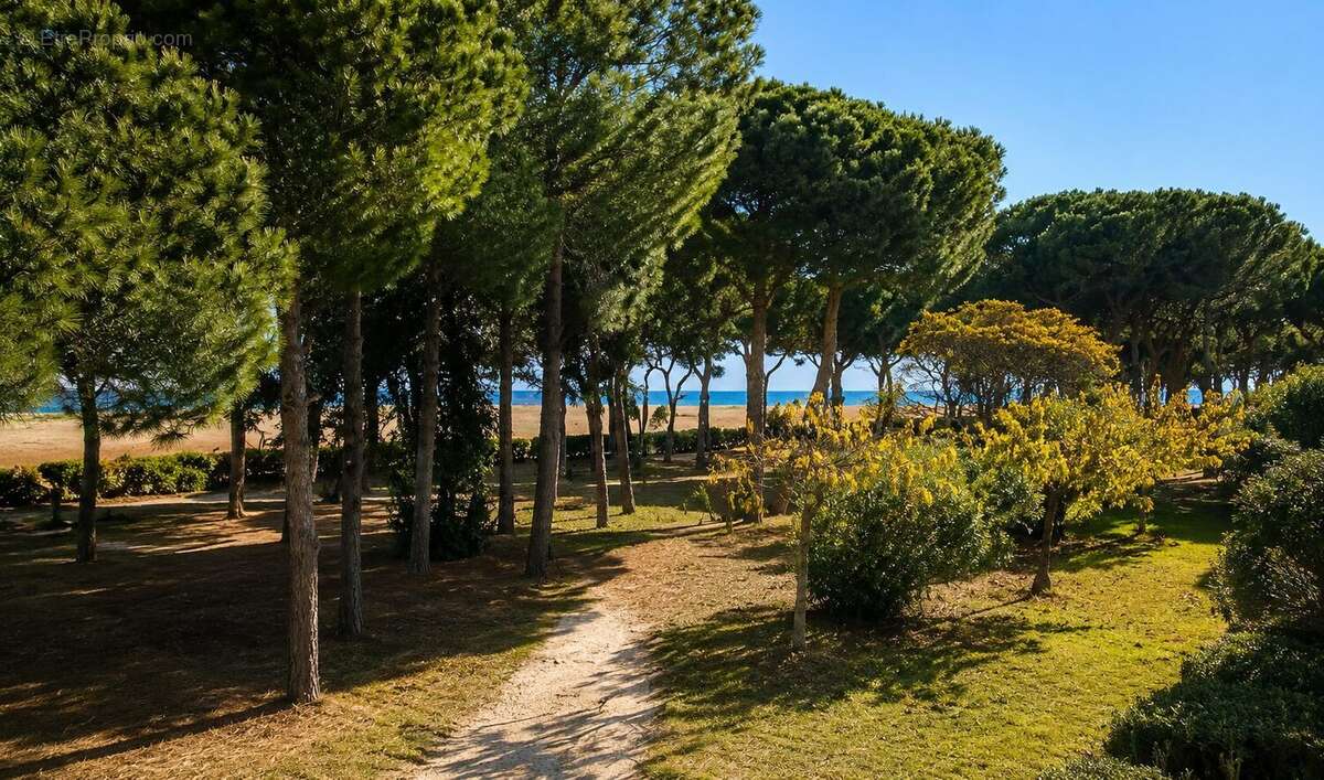 Pinède Argeles sur Mer - Appartement à ARGELES-SUR-MER