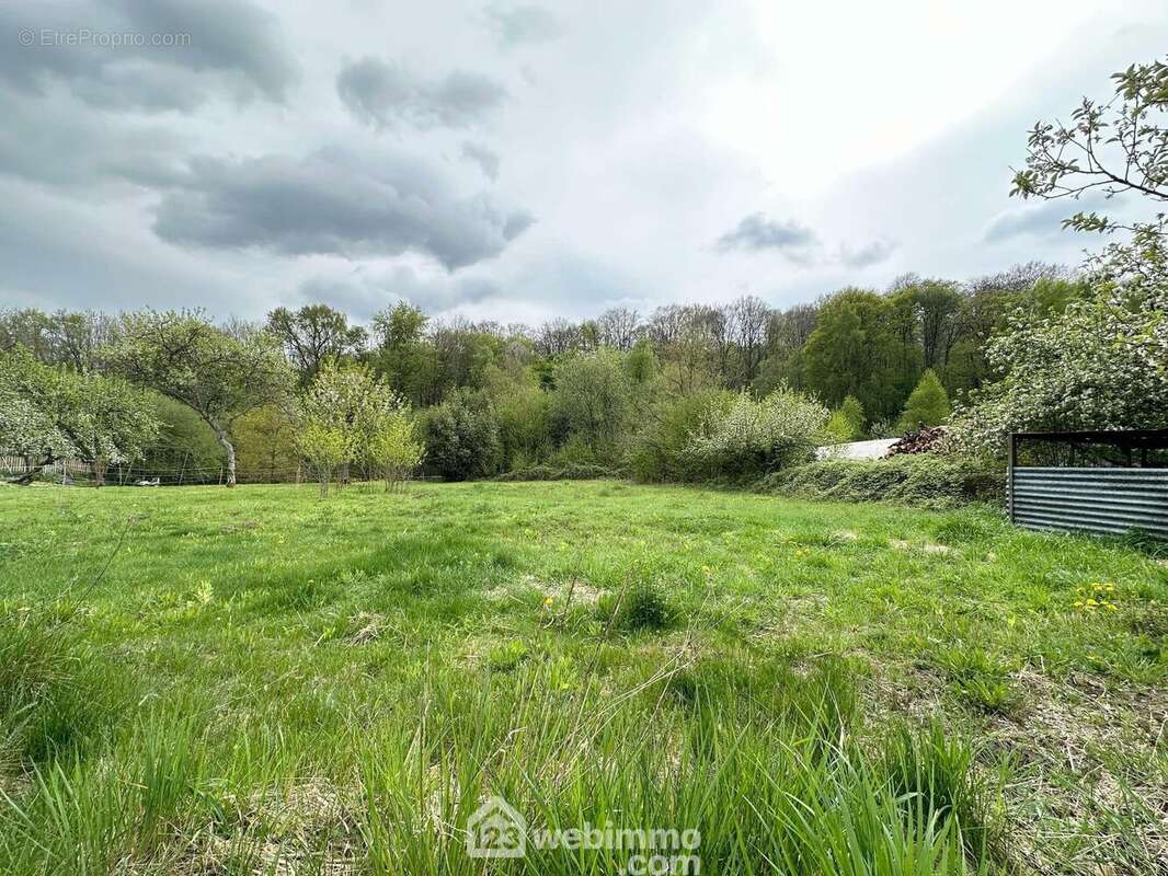 Il offre une façade de 19 m² - Terrain à MAUREGNY-EN-HAYE