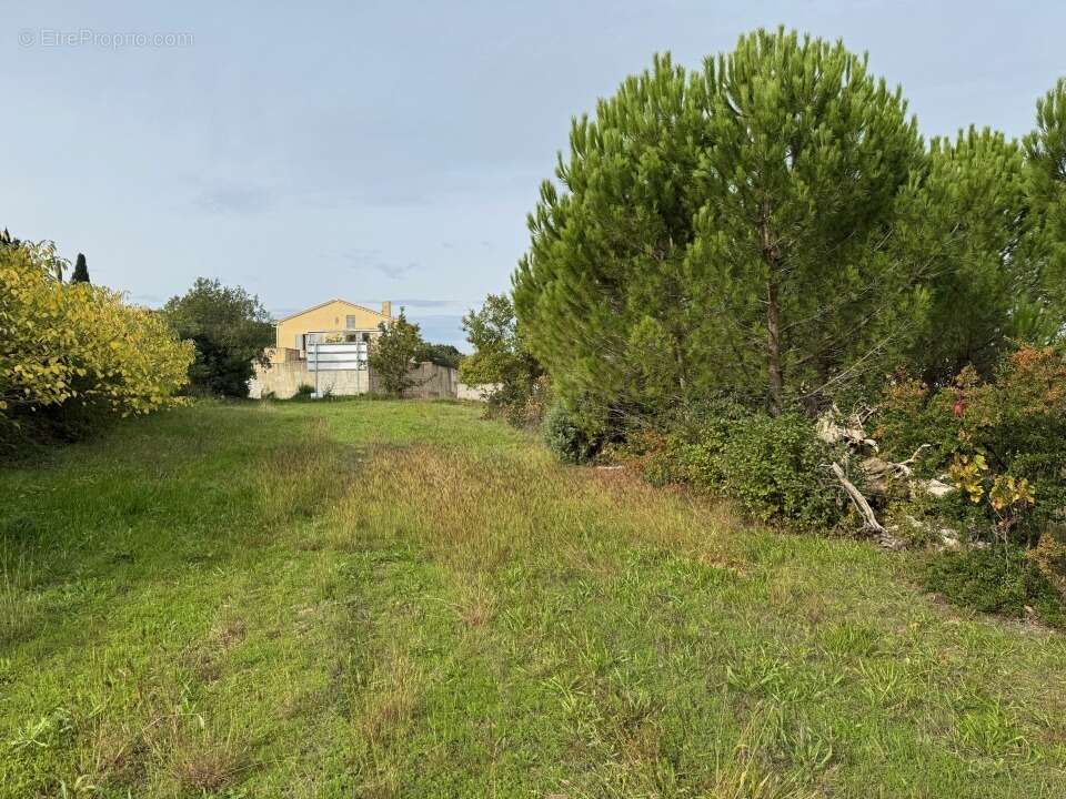 Terrain à SAINT-VICTOR-LA-COSTE