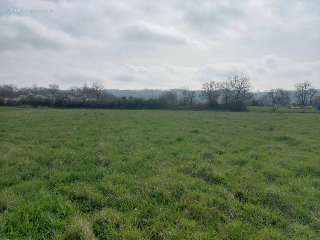 Terrain à CASTELNAU-MAGNOAC