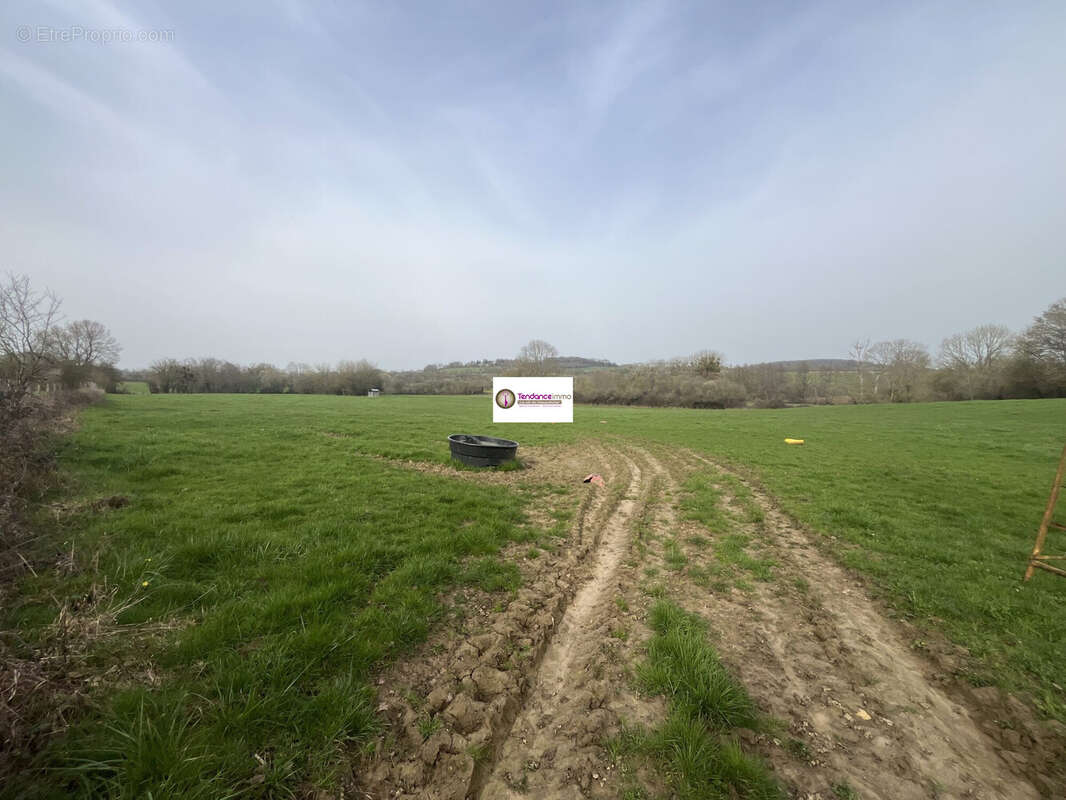 Terrain à SAINTE-SCOLASSE-SUR-SARTHE