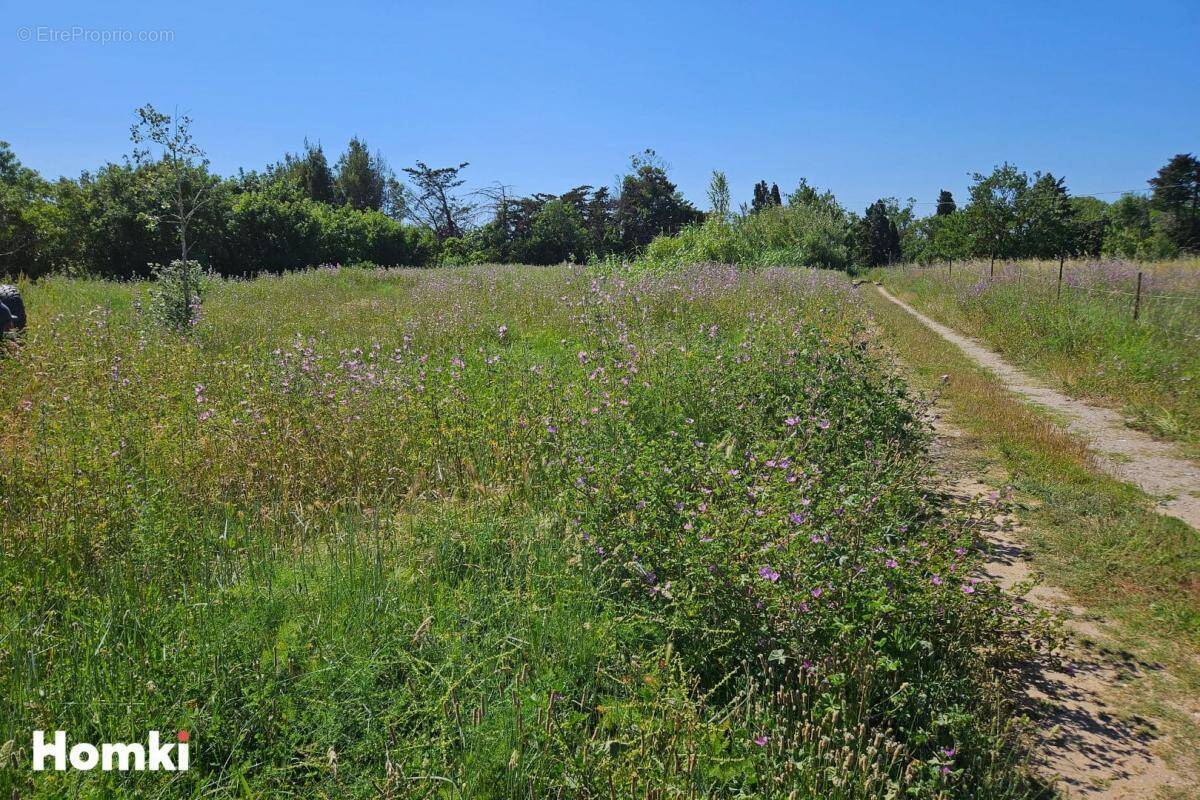 Terrain à SAINT-NAZAIRE