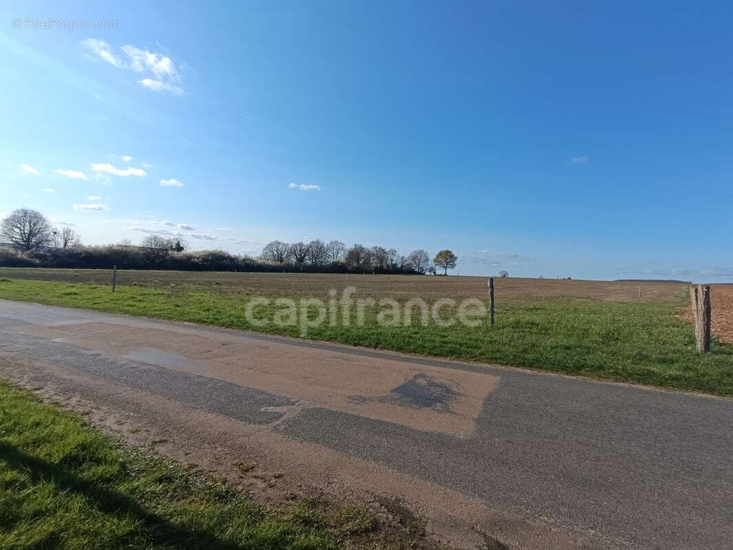 Terrain à vendre de 674,00 m² SOUCY (89) - photo 2