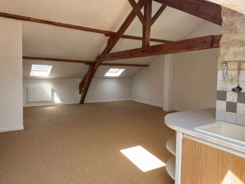 Grand appartement familial de 206 m2 au sol - Avenue Garibaldi, Limoges - photo 3