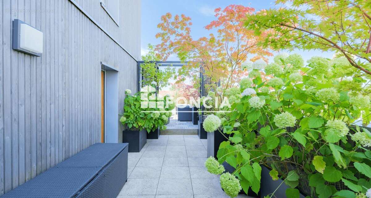 T4 d'exception en toit terrasse, vue panoramique imprenable - photo 2