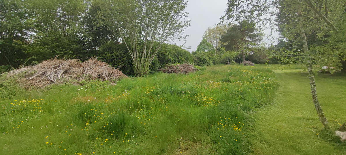 Terrain à SAINT-JUST-LE-MARTEL