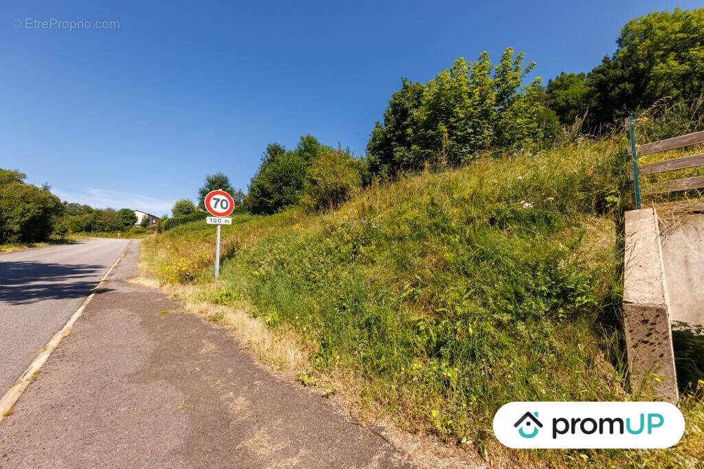 Terrain à MURAT-LE-QUAIRE