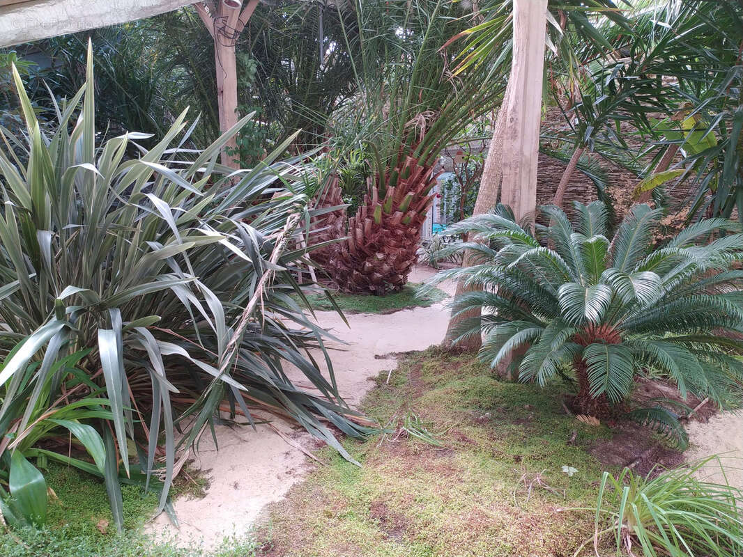 Belle propriété sur la commune de Loiré à 15 minutes de Segré - photo 11
