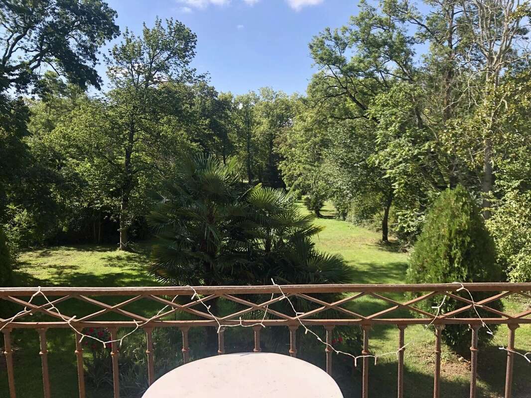 Château du XVIe siècle  avec 5,7 ha le long du Canal du Midi - photo 16