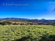 Terrain à PUIMOISSON