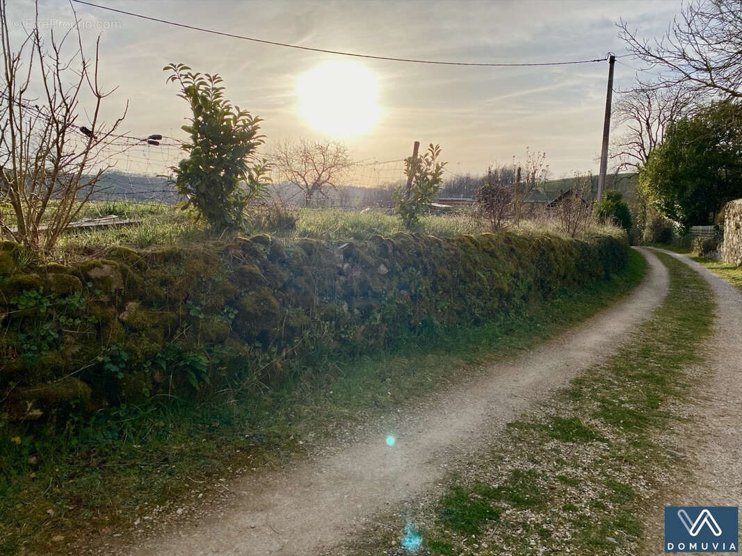 Terrain à BRANDONNET