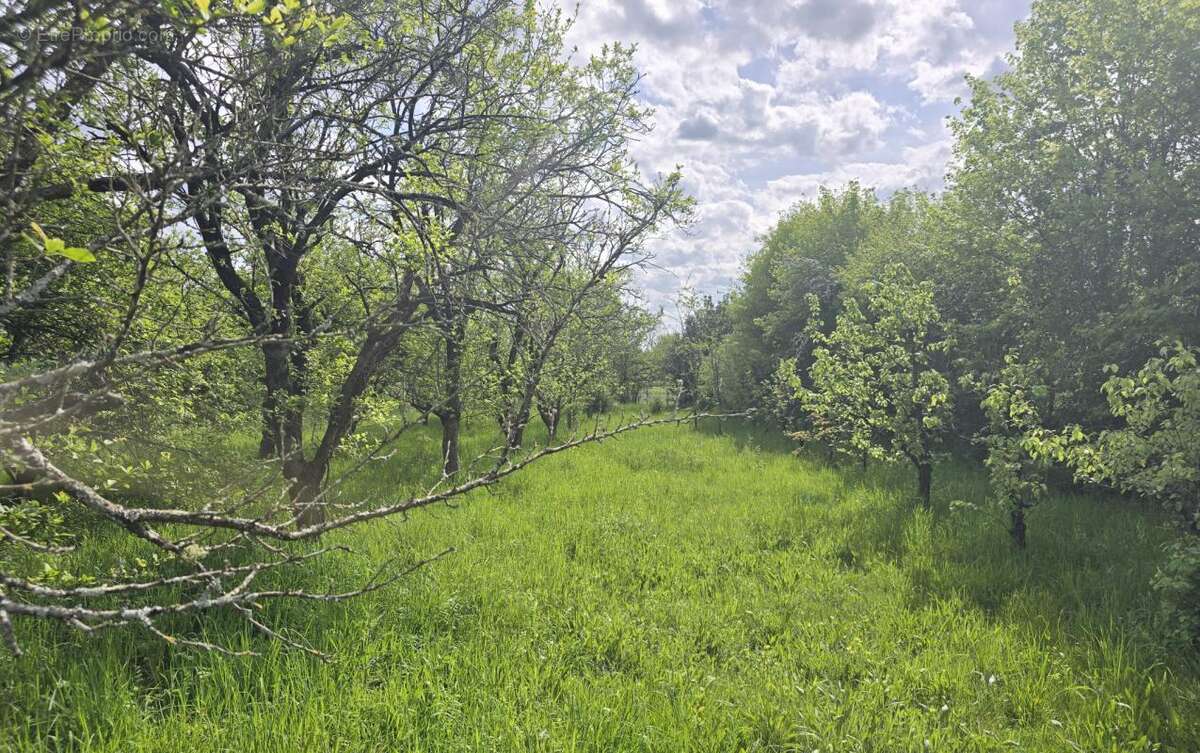 Terrain à PRECIGNE
