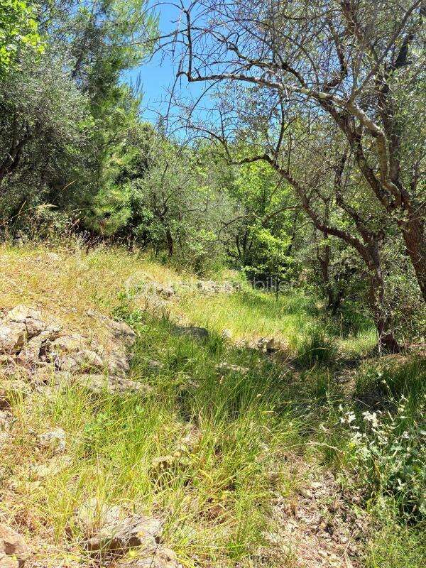  Terrain constructible – Pierrefeu (06910)  - photo 8