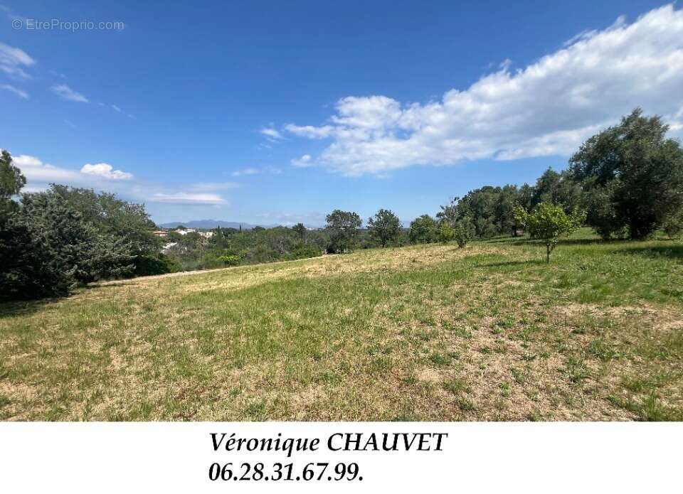 Terrain à ROQUEBRUNE-SUR-ARGENS